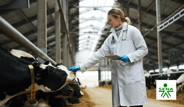 Curso de practicas de manejo sanitario en bovinos